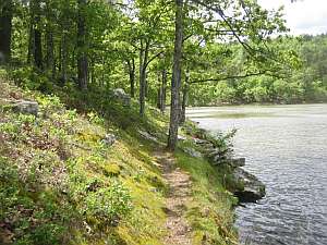 Robbers Cave - Along the Lake.